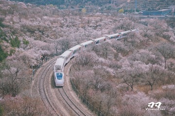 BB158B39-608E-46BA-AAA2-04ADCF894414/L0/001