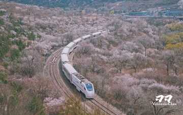 37486E74-1057-4707-BA2C-EB1B76AA49FC/L0/001