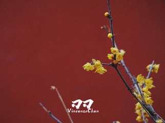 AB6A2252-AB2B-474A-BF03-9D1DEB8520DF/L0/001