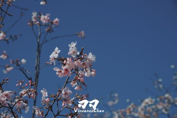 71C9754A-893B-4448-AC1F-ACE5A9C51A9B/L0/001