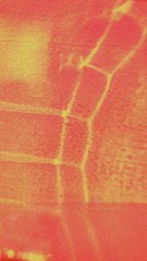 C854043E-7834-411C-9E89-389BC1892FFF/L0/001