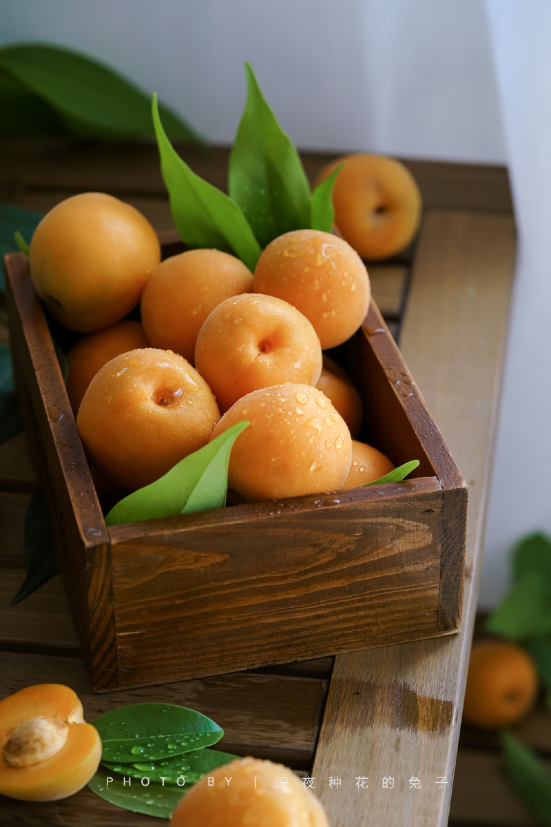 叶底青青杏子垂