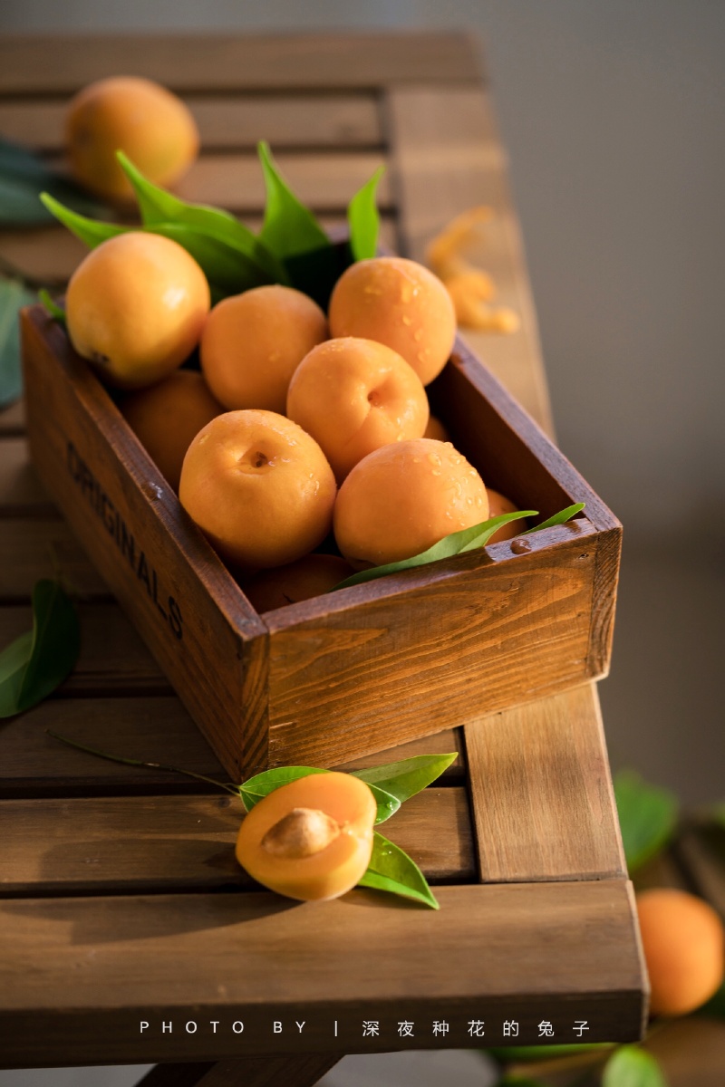 叶底青青杏子垂