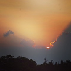 9D8992CE-C77E-4CE9-B116-B17F62781FEF/L0/001