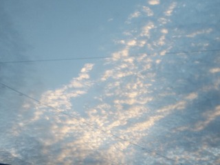 255484