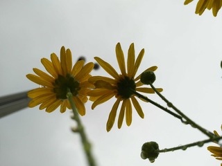 109D4B79-DE5F-47DB-8102-7F762BEAA14C/L0/001