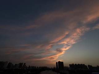 777290C0-9399-46F8-AEB4-6C4C8391F6A1/L0/001