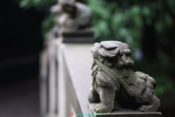 DSC01037.jpg