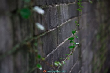 DSC01070.jpg