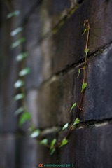DSC01074.jpg
