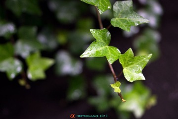 DSC01079.jpg