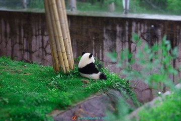 DSC00843.jpg
