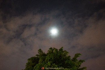 DSC01688.jpg