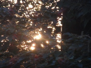 5495F013-4C40-4AD9-8753-4C5714E01776/L0/001