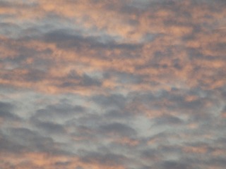 111C6CEB-E9A0-4906-A7EA-A39869243EC9/L0/001