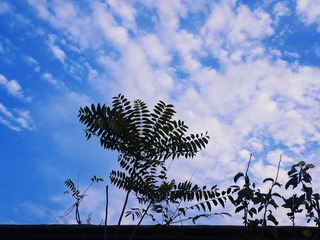 CB6FA648-E487-4E0B-A0B8-87C0BFF69E1E/L0/001