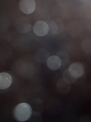 F210E674-BE3F-441F-BCC3-C560C1252939/L0/001