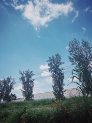 2C23450F-1A05-41D1-A377-8249BB011D54/L0/001