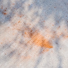 1163683