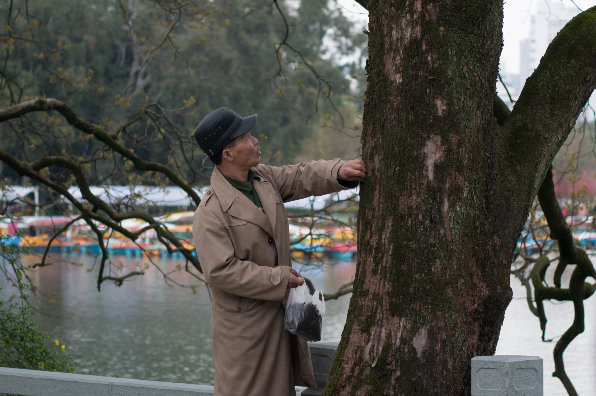 80-200-1 br /> 公园的老头