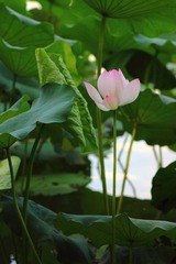 IMG_9064.JPG