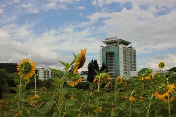 IMG_9956.JPG