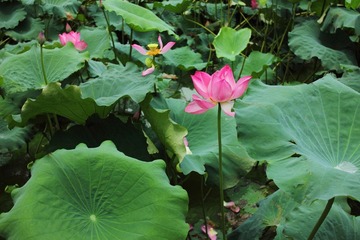 IMG_9969.JPG
