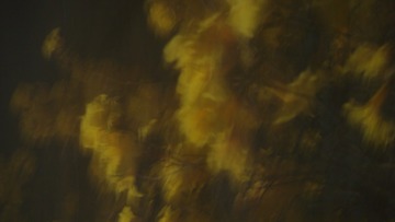 74D92A3D-B05D-452F-93FE-5AFE566FC4C1/L0/001