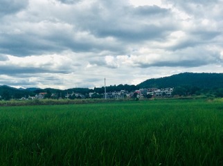 50BB5AAA-BC3B-42C9-8630-C13D97158F37/L0/001