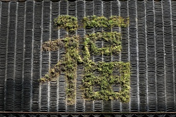 64544