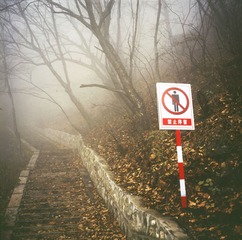 Untitled-1p