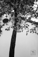黑白，如画