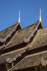 IMG_1493.jpg