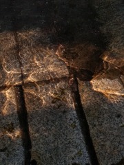 123063