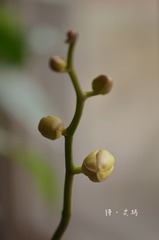 dsc_3586_副本.jpg