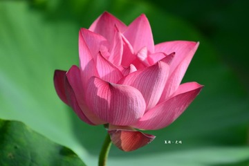 dsc_4523_副本.jpg