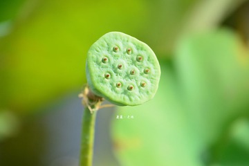 dsc_4536_副本.jpg