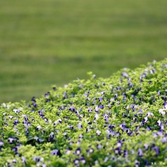 dsc_4462_副本.jpg