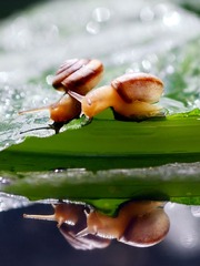 dsc_4685_副本.jpg