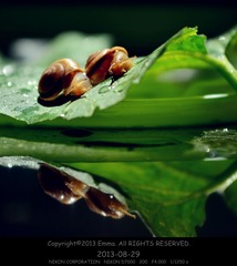 dsc_4695_副本.jpg