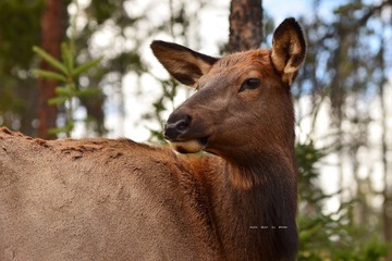 dsc_7448_