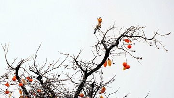 721A7191 -
