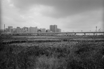 scan0005.jpg