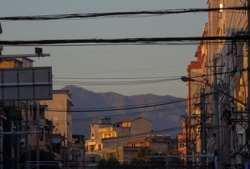 319607
