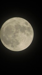 BD264449-A460-4365-9109-4C4526F32700/L0/001