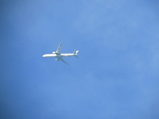 0DE51332-C8F0-4F6F-87FD-8FDC3ACF81D2/L0/001