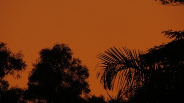 8C5378F6-3DDA-4181-AC6F-A9E67F376660/L0/001
