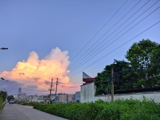 1000054336