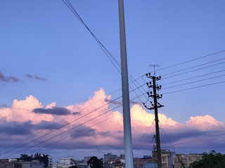 1000054332