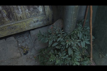 E-M55.jpg
